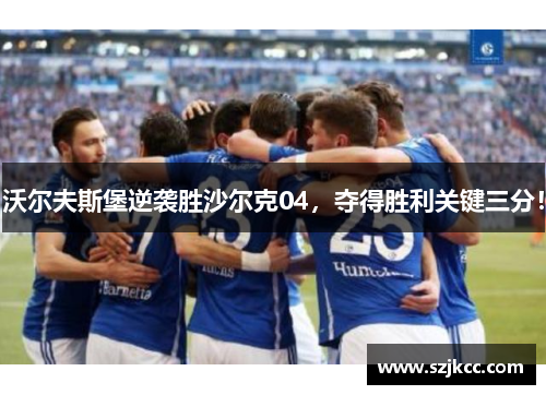 沃尔夫斯堡逆袭胜沙尔克04，夺得胜利关键三分！