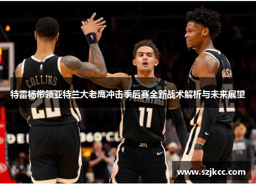 特雷杨带领亚特兰大老鹰冲击季后赛全新战术解析与未来展望