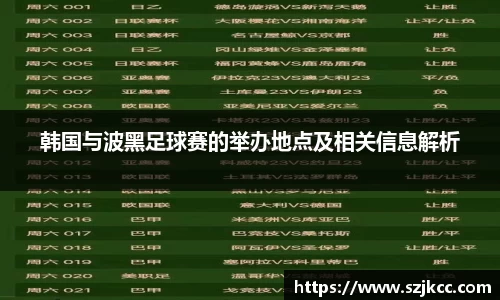 xc体育韩国与波黑足球赛的举办地点及相关信息解析